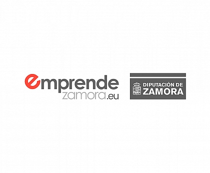 Bases reguladoras de la convocatoria correspondiente al ejercicio 2021 para la concesión de subvenciones a microempresas de la provincia de Zamora