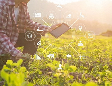 Apoyo a empresas y emprendedores