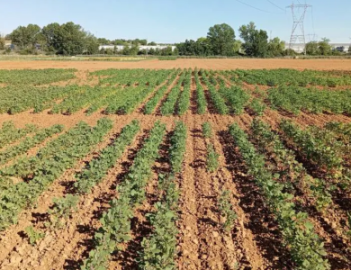 La Diputación de Zamora impulsa el ‘Cultivo Inteligente’ para modernizar la agricultura con tecnología avanzada