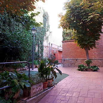 EL JARDIN DEL CORRILLO_319