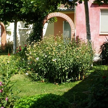 RESIDENCIA EL ALMENDRO